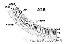 微信图片_20200720094644.png